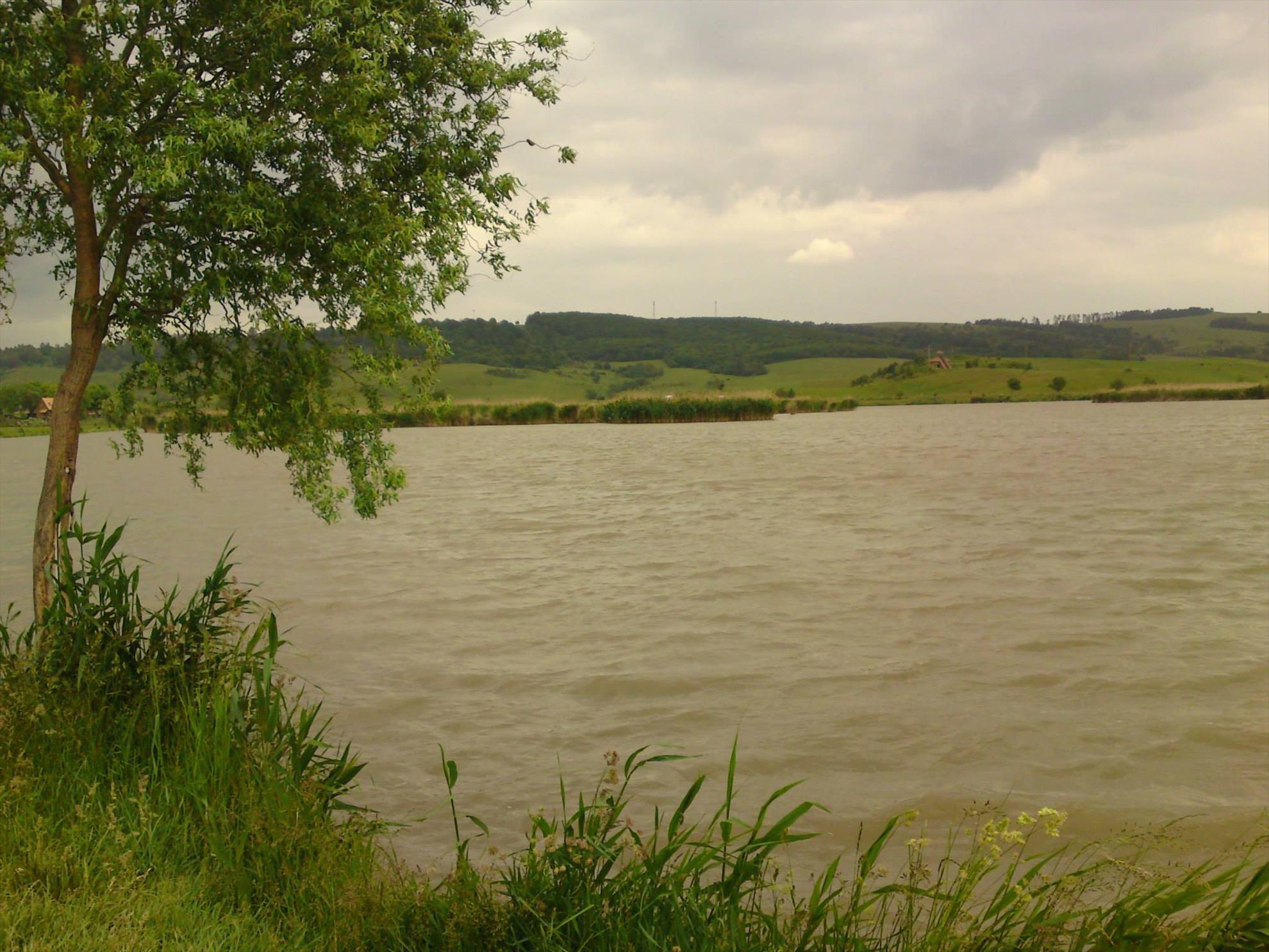 pescuit la sanpaul harghita cu colegii - 9798865951180271879961384066916o.jpg